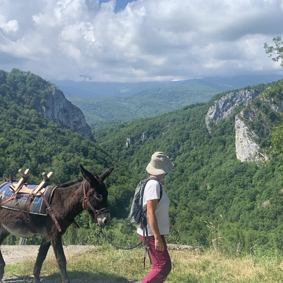 vue sur les gorges