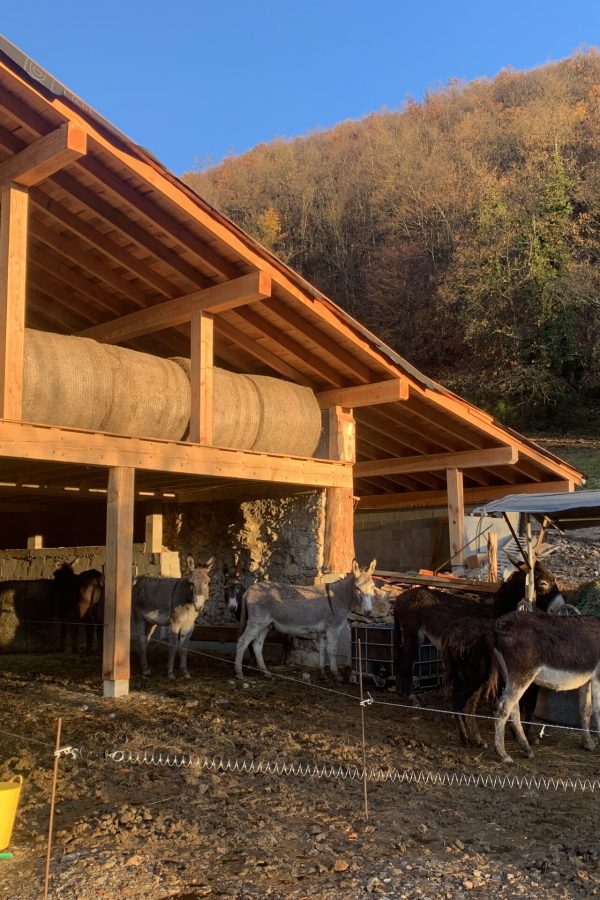 abri d'hiver