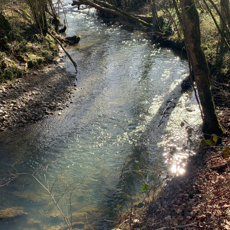 rivière du Douctouyre