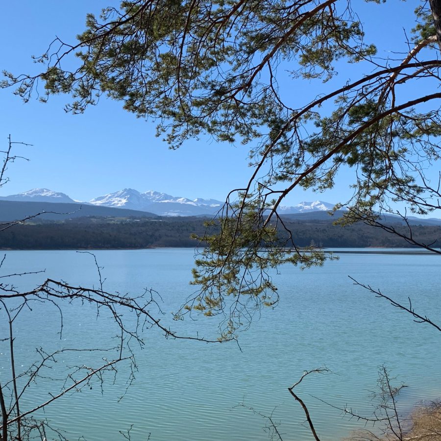 lac de Montbel